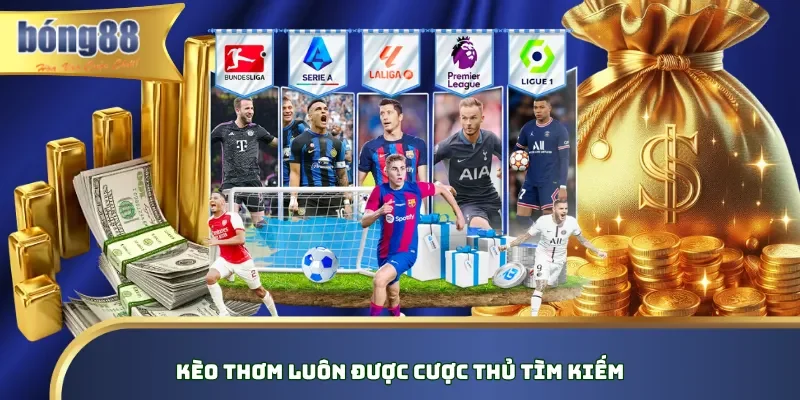 Kèo thơm luôn được cược thủ tìm kiếm