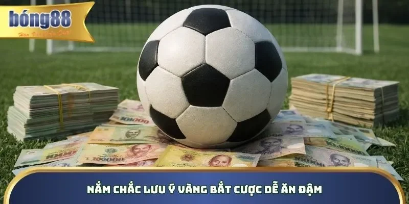 Nắm chắc lưu ý vàng bắt cược dễ ăn đậm
