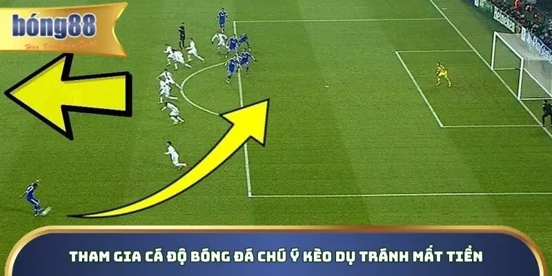 Tham gia cá độ bóng đá chú ý kèo dụ tránh mất tiền