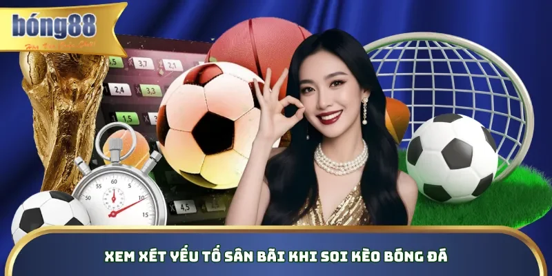 Xem xét yếu tố sân bãi khi soi kèo bóng đá